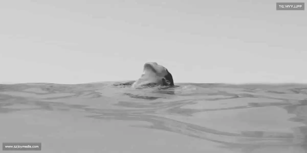 为什么选择我们